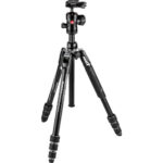 Manfrotto Befree Advanced Travel 494
