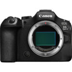 Canon EOS R6 Mark III ( Cuerpo) - Imagen 5