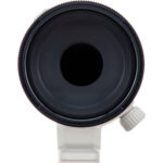 Sony FE 70-200mm f/4 Macro G OSS II (Sony E)
